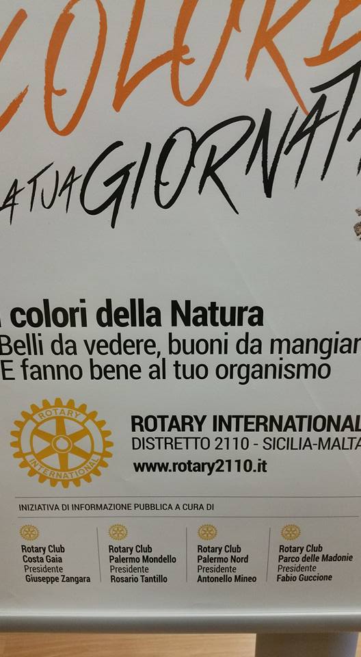 116 - Presenze del Governatore - 4 Rotary Club di Palermo per un banner agli arrivi e partenze di Punta Raisi circa il progetto distrettuale per la sana alimentazione - Palermo 22 dicembre 2015/001.jpg
